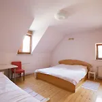 Spacious 2-Bedroom Apartment Zabjak With Ac Tour As Ljubljana