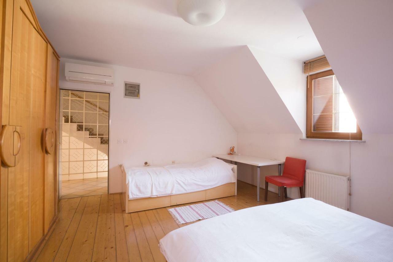 Spacious 2-bedroom Zabjak With Ac Tour As Apartment Laibach